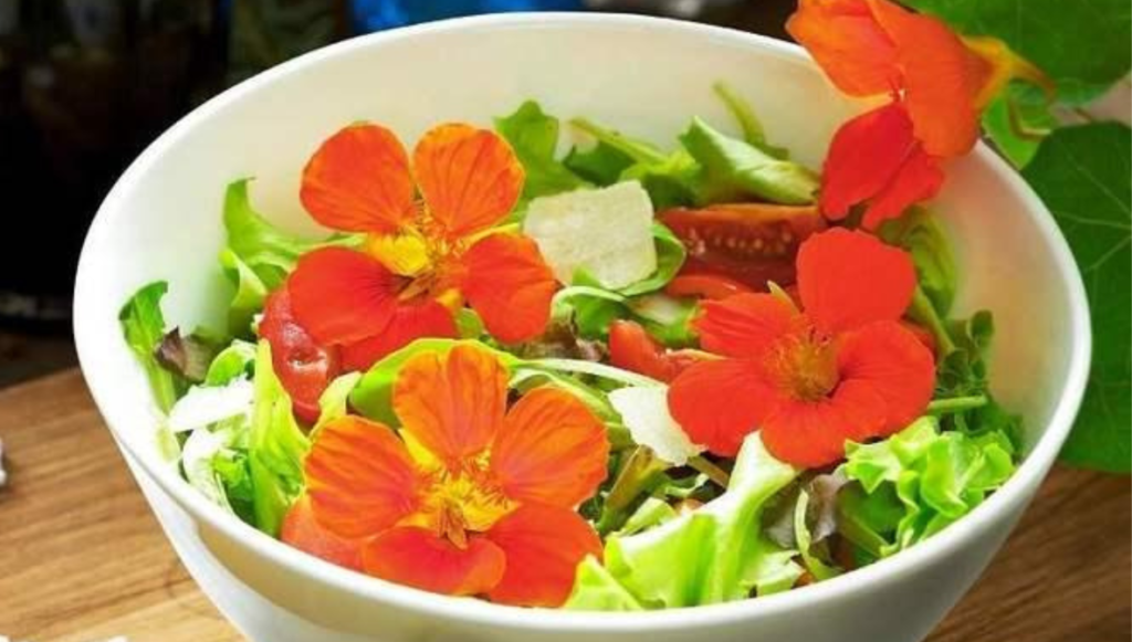 Capuchinha: A Flor Comestível que Revoluciona a Culinária